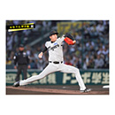 ブロマイド 4/8 T-S　35才木