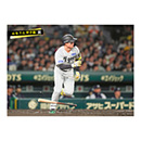 ブロマイド 4/8 T-S　1森下