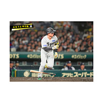 ブロマイド 4/8 T-S　1森下