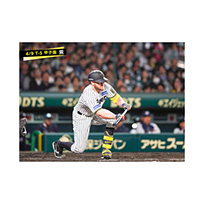 ブロマイド 4/9 T-S　99ビーズリー