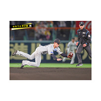ブロマイド 4/9 T-S　38小幡