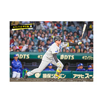 ブロマイド 4/11 T-D　1森下