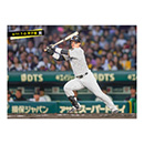 ブロマイド 4/11 T-D　58前川