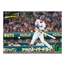 ブロマイド 4/11 T-D　41村上