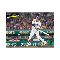ブロマイド 4/11 T-D　41村上