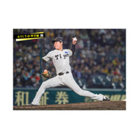 ブロマイド 4/11 T-D　37及川