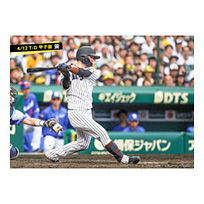 ブロマイド 4/12 T-D　51中野