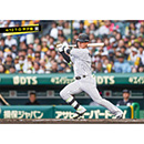 ブロマイド 4/12 T-D　0木浪