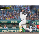ブロマイド 4/18 T-C　1森下