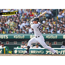 ブロマイド 4/19 T-C　58前川