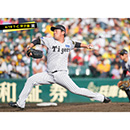 ブロマイド 4/19 T-C　47桐敷