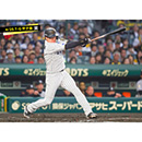 ブロマイド 4/25 T-G　3大山