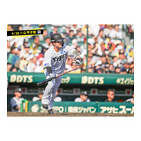 ブロマイド 4/26 T-G　25渡邉