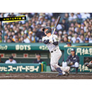 ブロマイド 4/26 T-G　12坂本