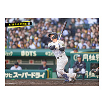 ブロマイド 4/26 T-G　12坂本