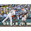 ブロマイド 4/26 T-G　12坂本、69石井