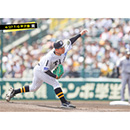 ブロマイド 4/27 T-G　18伊原