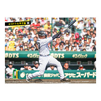 ブロマイド 4/27 T-G　3大山