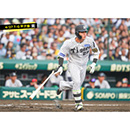 ブロマイド 4/27 T-G　0木浪