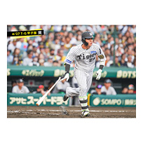 ブロマイド 4/27 T-G　0木浪