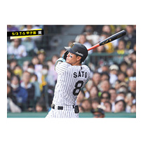 ブロマイド 5/3 T-S　8佐藤（輝明）