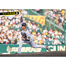 ブロマイド 5/3 T-S　65湯浅