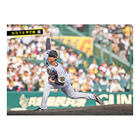 ブロマイド 5/3 T-S　65湯浅