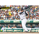 ブロマイド 5/4 T-S　3大山