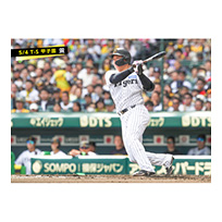ブロマイド 5/4 T-S　3大山