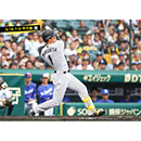 ブロマイド 5/10 T-D　1森下