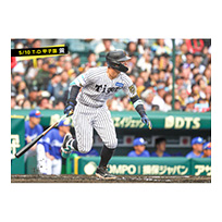 ブロマイド 5/10 T-D　8佐藤（輝明）