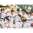ブロマイド 5/10 T-D　3大山、12坂本、41村上