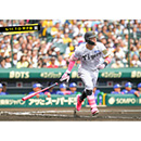 ブロマイド 5/11 T-D　8佐藤（輝明）