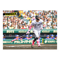 ブロマイド 5/11 T-D　8佐藤（輝明）