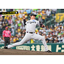 ブロマイド 5/11 T-D　65湯浅