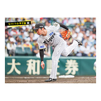ブロマイド 5/11 T-D　69石井