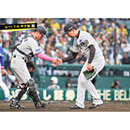 ブロマイド 5/11 T-D　12坂本、13岩崎