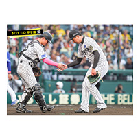 ブロマイド 5/11 T-D　12坂本、13岩崎