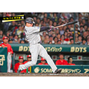 ブロマイド 5/16 T-C　3大山
