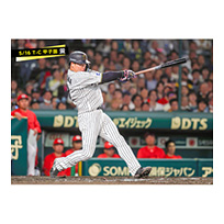 ブロマイド 5/16 T-C　3大山
