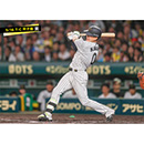 ブロマイド 5/16 T-C　0木浪