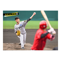 ブロマイド 5/17 T-C　49大竹