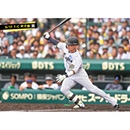 ブロマイド 5/17 T-C　0木浪