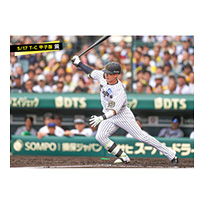 ブロマイド 5/17 T-C　0木浪