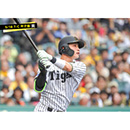 ブロマイド 5/18 T-C　0木浪