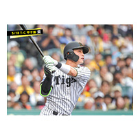 ブロマイド 5/18 T-C　0木浪