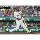 ブロマイド 5/20 T-G　1森下