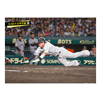 ブロマイド 5/20 T-G　0木浪