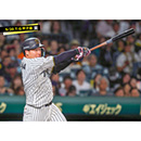 ブロマイド 5/20 T-G　3大山