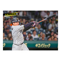 ブロマイド 5/20 T-G　3大山